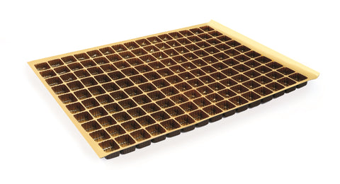 EASYPACK ALVEOLO 150 FORI